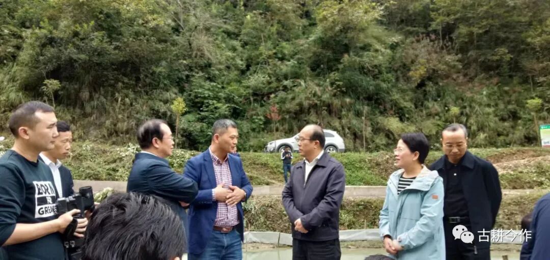电视台和知名媒体多次报道