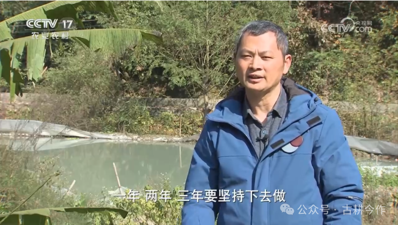 以水养渔，以稻净水